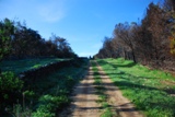 Clicca qui per vedere l'immagine in dettaglio